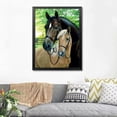 thumbnail image 2 of 5D Diamond Painting Full Drill Kits Rhinestone pegado Arts Craft Home Wall Decor 30x40cm Black Horse White Horse Sincero Hogar, 2 of 6