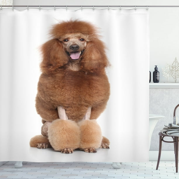 Poodle Shower Curtain Dog Sitting On A, Poodle Shower Curtain Hooks