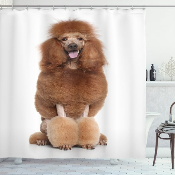 Poodle Shower Curtain Dog Sitting On A White Backdrop With Tongue Fabric Bathroom Set Hooks 69w X 84l Inches Extra Long Dark Rosewood Pale Brown Rose Taupe By Poodle Shower Curtain Dog Sitting On A, Poodle Shower Curtain Hooks