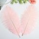 thumbnail image 4 of Xiao Hua 24 plumas de avestruz rosas naturales a granel de 25 a 30 cm para centros de mesa de bodas, fiestas, Pascua, Gatsby y decoración del hogar., 4 of 5