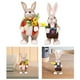 thumbnail image 1 of Estatuilla de conejo de Pascua Macarena 2 piezas, 1 of 8