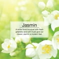 thumbnail image 4 of Little Trees Auto Air Freshener, Hanging Card, Jasmine Fragrance, 3-Pack, 4 of 9