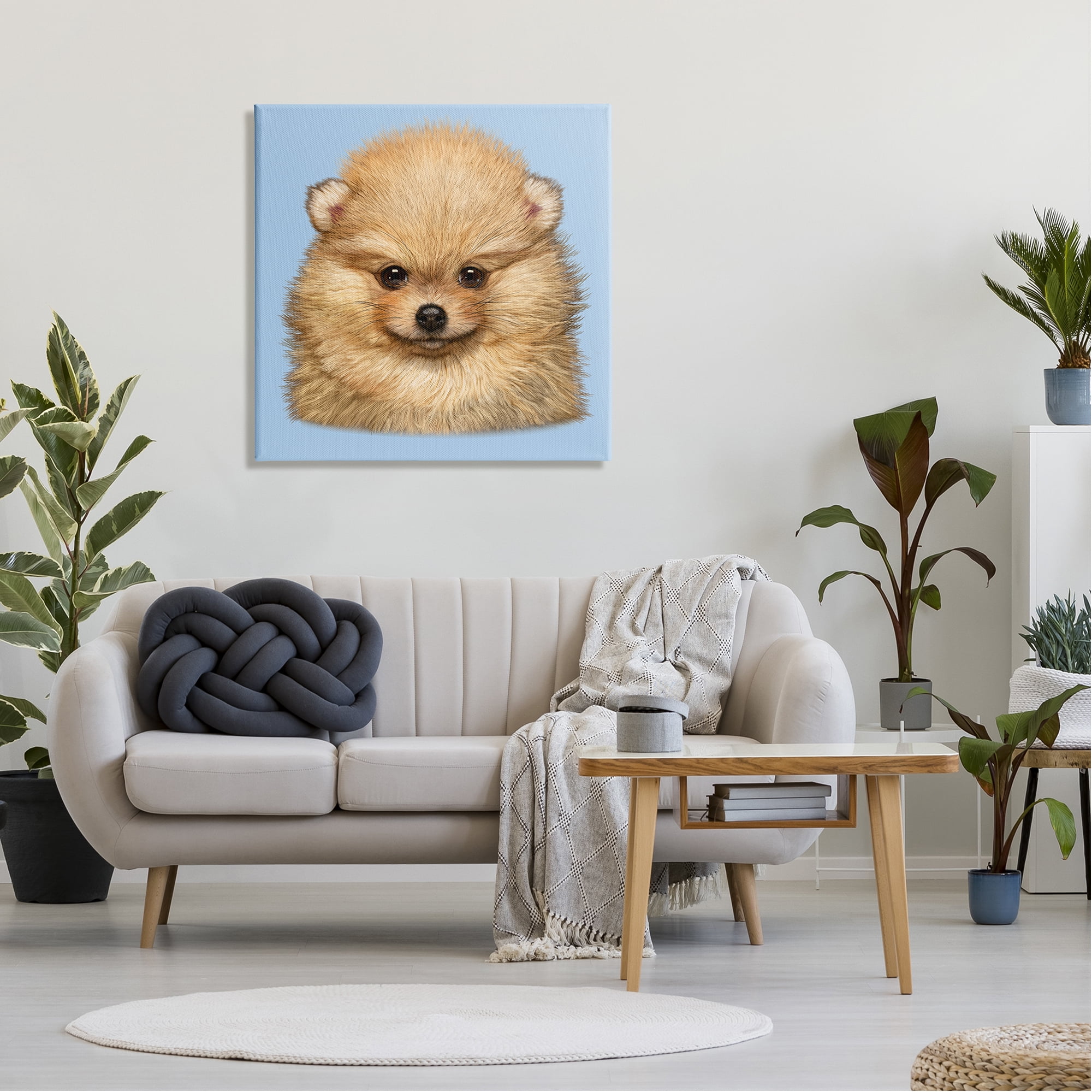 Stupell Industries Pomeranian Face on Blue Animals & Insects Painting Gallery Wrapped Canvas Art Print Wall Art, 30 x 30