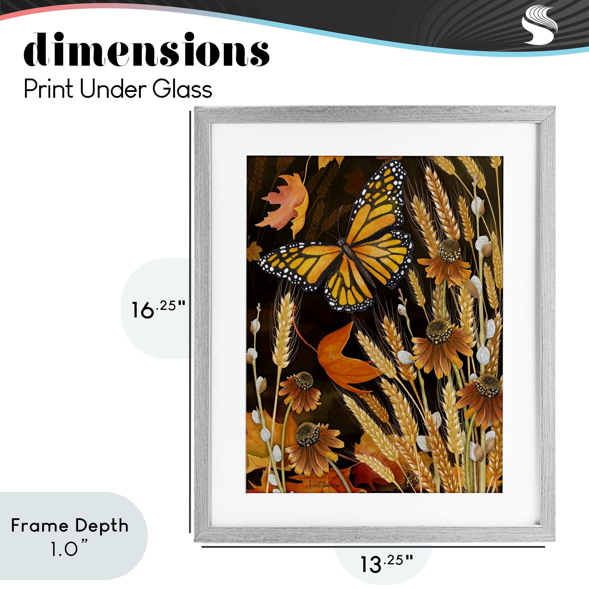Stupell Industries Fall Motif Midnight Garden Gray Framed Print Under Glass, design by Nicole Tamarin