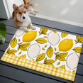 thumbnail image 3 of Yellow Lemon Entryway Rug 2'x3'&nbsp; Non Slip Front Door Mats, Summer Botanical Leaves Plaid Entrance Rugs Indoor Outdoor Carpet, Washable Floor Mats Small Area Rug for Bedroom Kitchen, 3 of 8