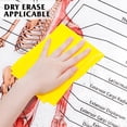 thumbnail image 3 of 1pc Human Anatomy Poster Muscular and Skeletal Systems Wall Hanging Anatomical Chart, 3 of 8