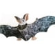 thumbnail image 4 of Peluche Enivtfz de 12 murciélagos grandes para Halloween, 4 of 6