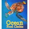 Ocean Food Chains