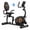 Black, variant on YOSUDA PRO Recumbent Exercise Bike for Home, 350 LB Capacity, 16-Level Magnetic Resistance, Quick-Adjust Seat, Bluetooth App