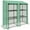 Green, variant on Outsunny Mini Greenhouse with 3 Tier 6 Shelves Portable Green House, Green