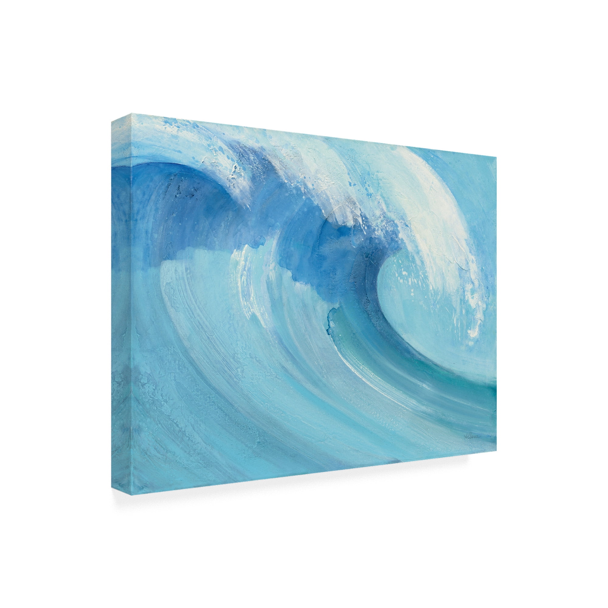 Trademark Fine Art 'Catch a Wave' Canvas Art by Albena Hristova
