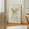 thumbnail image 3 of Butterflies VII - Drawing Nature Vintage Botanical Art Deco Floral Oak Framed Wall Art Print 30 x 40 inches, 3 of 15