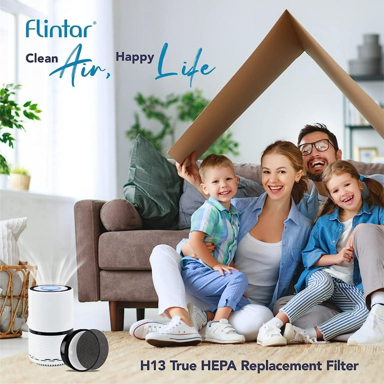 Flintar H13 True HEPA Replacement Filter, Compatible with LV-H132
