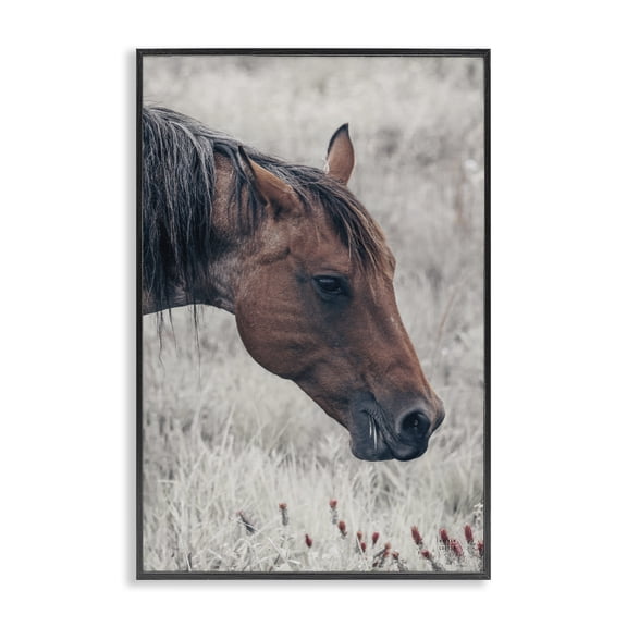 Stupell Industries Rustic Lodge Mother Horse Grazing in Meadow Black Framed Giclee Art, 12 x 18, by Nathan Larson