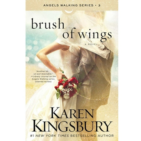 Pre-Owned Brush of Wings (Paperback) 1451687559 9781451687552