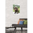 thumbnail image 5 of Keith Kimberlin - Puppy - Who Needs a Hug? Wall Poster, 14.725" x 22.375", 5 of 5