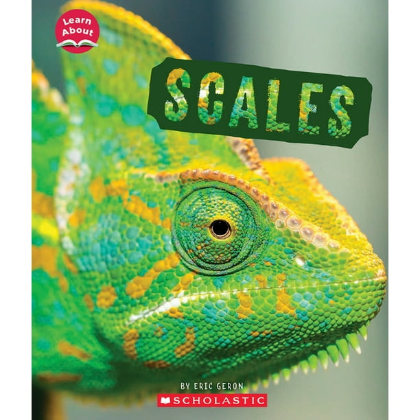 Learn about: Scales (Learn About: Animal Coverings) (Paperback) -  