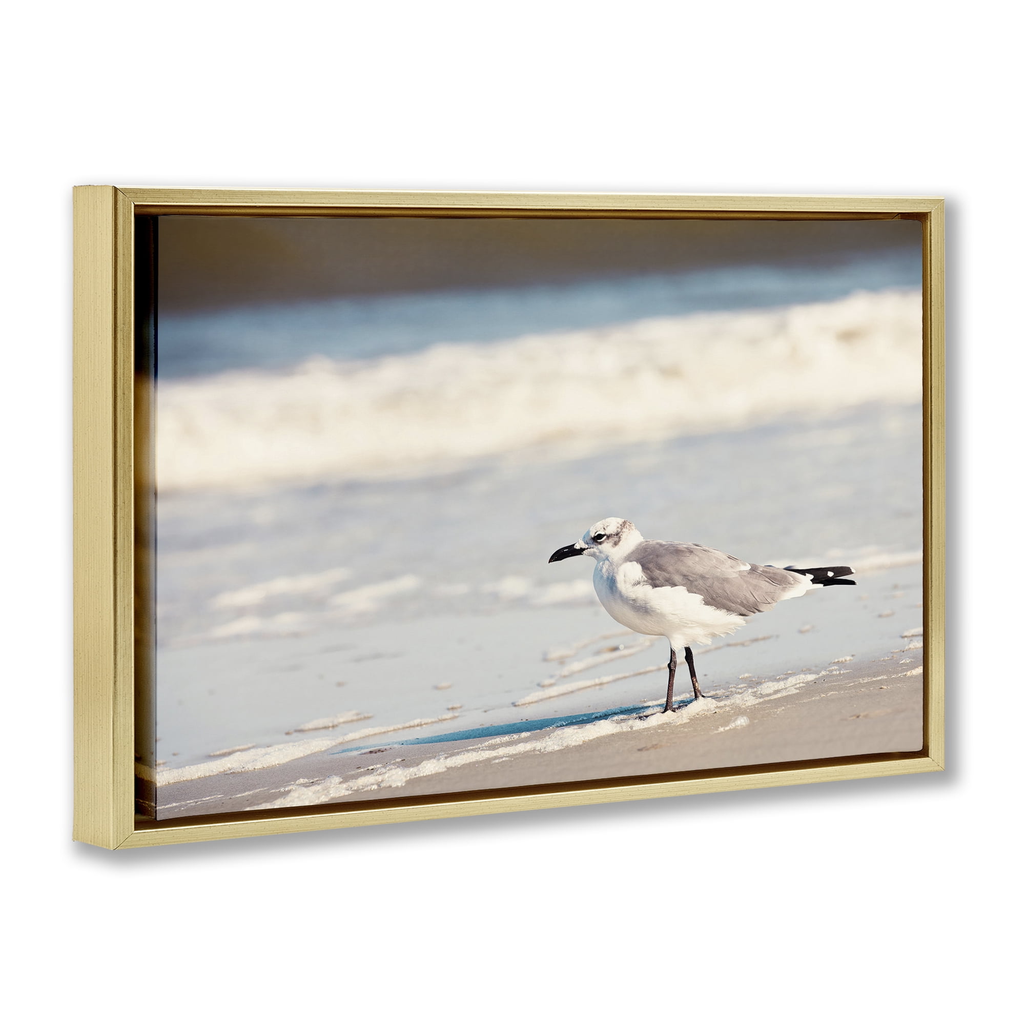 Stupell Industries Seagull Stepping on Shore Coastal Photography Gold Floater Framed Canvas Art Print Wall Art, 31 x 21