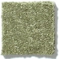 thumbnail image 3 of 30 oz Soft and Cozy Area Rugs 1/2" Thick Cut Pile Polyester Material. Many Sizes Available (Color: Going Green ), 3 of 6