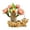 Beige, variant on nTRIUQJ Brazilian Wood Kit, Grow Your Own Luck,Easy to Maintain Mini Brazil Woods for Indoor/Outdoor, Bedroom, Kitchen, Office Desk, Garden and Other Decorations, C