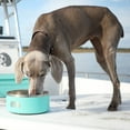 thumbnail image 6 of Toadfish Non-Tipping Dog Bowl - Teal 1051, 6 of 11