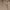 Khaki, variant on cfhntfmh 2 Piece Outfits for Women Wide Leg Shorts Sports Long Sleeve Sweatshirt Jogger Sweatsuits Sets with Pocket