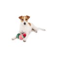 thumbnail image 2 of One Paw, Candy Cane Holiday Tennis Ball Set, Dog Toy, Festive Fetch Fun, Nylon, 2 of 4