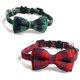 thumbnail image 1 of Safety Buckle Cat Collar, With Bells And Bows, 1 of 5
