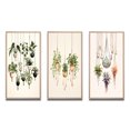 thumbnail image 2 of Designart "Boho Botanical Watercolor Hanging Houseplants IV" Abstract Botanicals Framed Wall Art Set Of 3 - Green Modern Frame Gallery Set For Office Decor, 2 of 6