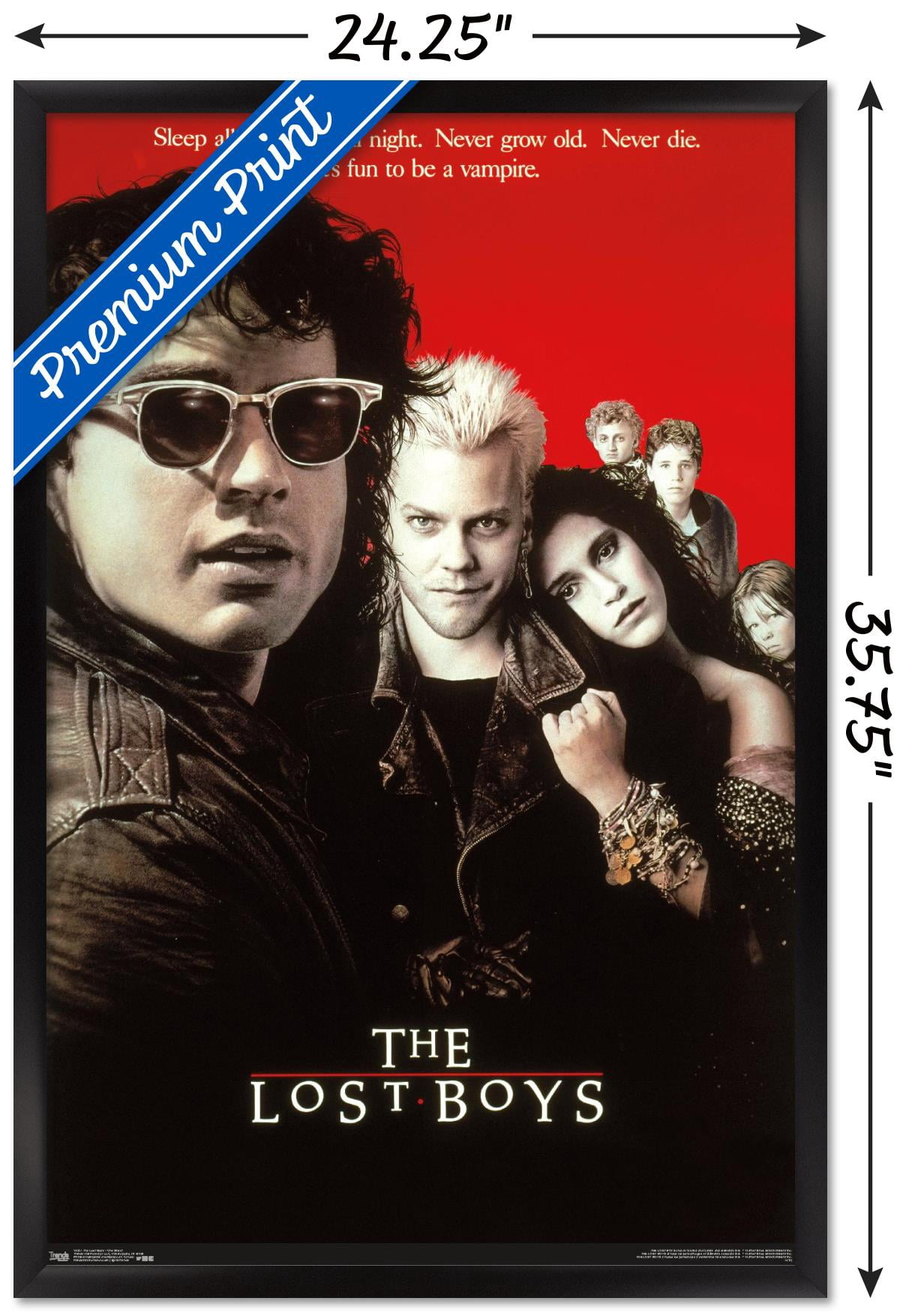 The Lost Boys - One Sheet Wall Poster, 22.375" x 34", Framed