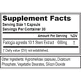 thumbnail image 4 of Fadogia Agrestis 600mg 10:1 Extract - Invigorating Fadogia Agrestis Extract Pills for Increased Strength Drive Power and Performance - Evlution Nutrition Testosterone Booster for Men, 4 of 7