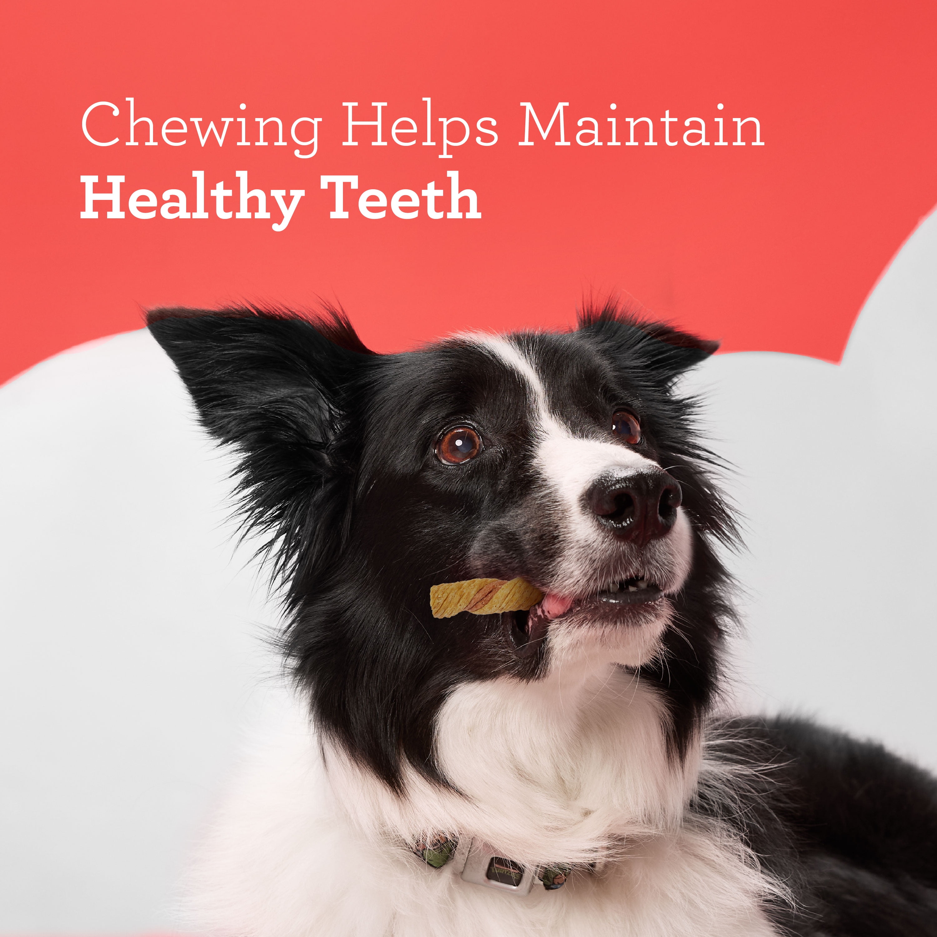 (2 pack) DreamBone Puffy Rolls Chews for Dogs, Treat Your Dog to Easy-to-Digest Rawhide-Free Chews Made with Real Peanut Butter and Bison, 8 Count