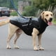 thumbnail image 3 of Abrigo para perros resistente al viento, impermeable, reflectante, chaleco acolchado para perros 6XL, 3 of 9