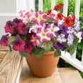 thumbnail image 5 of Realistic Artificial Silk Morning Glory Flowers for Home and Wedding Décor – Perfect Photo Props for Outdoor Celebrations and Events – Long-lasting, Effortlessly Stylish Decorations, 5 of 5