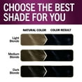 thumbnail image 6 of Schwarzkopf Keratin Hair Dye 1.1 Midnight Black, Permanent Hair Color, 1 Use, 6 of 13