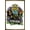 Bronze Framed Version, variant on Outkast - Illustrated Wall Poster, 14.725" x 22.375"