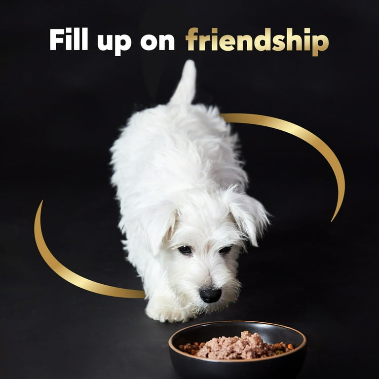 Is Cesar Dog Food Good for Puppies: Expert Insights