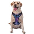 thumbnail image 1 of Fotbe Mystical White gorilla Jungle Arnés para Perro con Estampado –Chaleco Ajustable Acolchado con Asa de Control para Perros Grandes-Medium, 1 of 6