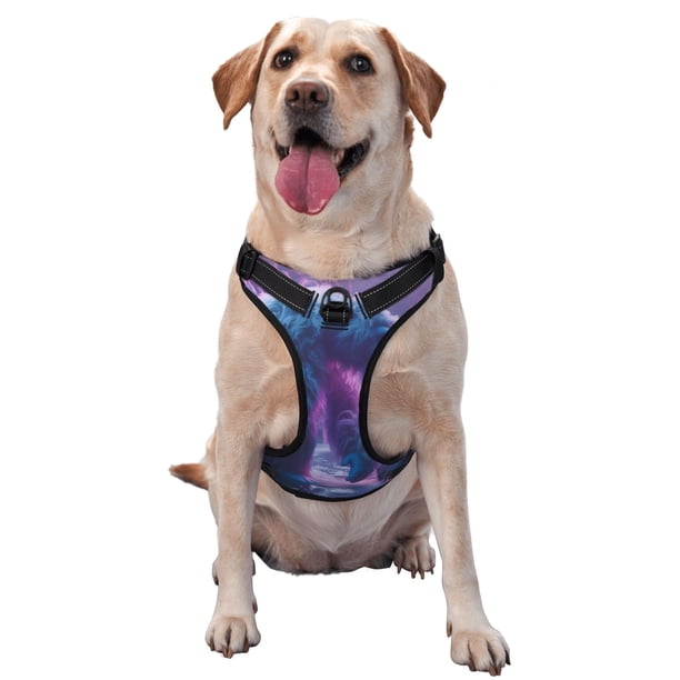 Balery Mystical White gorilla Jungle Arnés para Perros Grandes Antitirones, Arnés con Correa para Gato, Arnés Tipo Chaleco para Perros Pequeños-Large