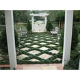 thumbnail image 4 of Dwarf Mondo Grass  1 Large Quart Size Plant  Ophiopogon Japonicus Nanus  Live Shade Loving Evergreen Ground Cover, 4 of 8