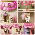thumbnail image 4 of Disfraz de cumpleaños para mascotas, falda tutú rosa para perro con collar y sombrero, 4 of 7