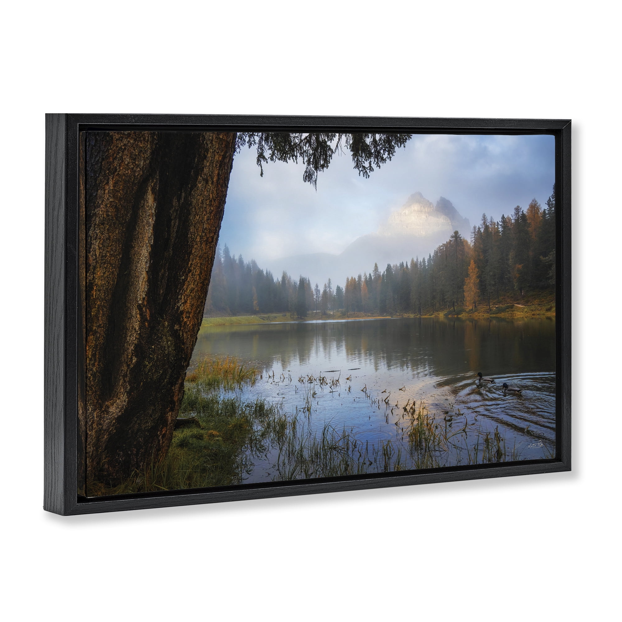 Stupell Industries Autumn Forest Reflections Black Framed Floater Canvas Wall Art, design by Martin Podt