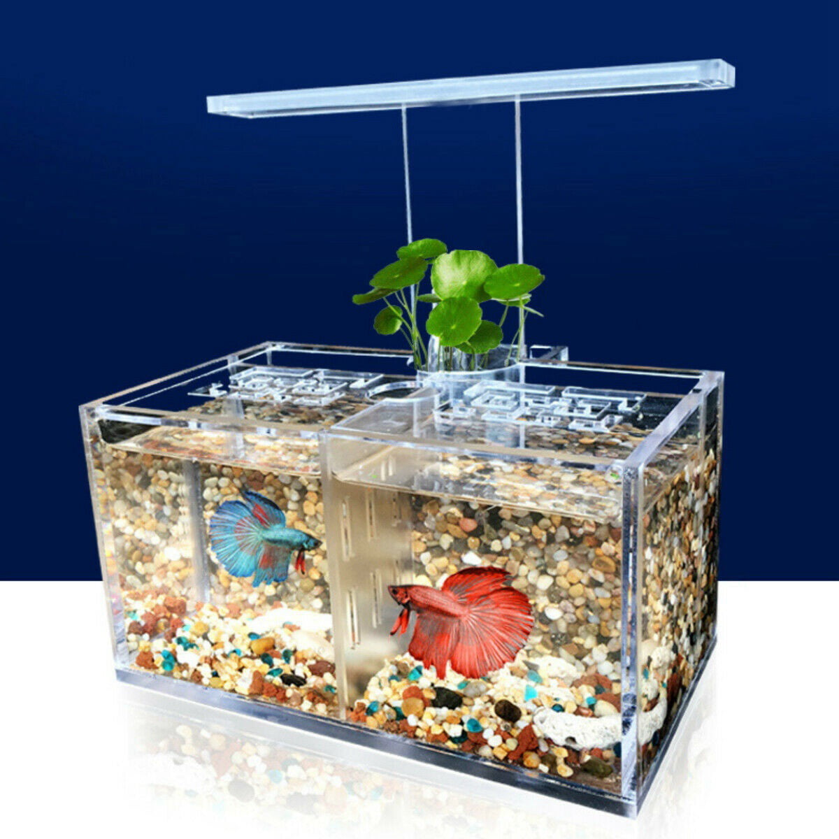 Aquarium LED Acrylic Betta Fish Tank Set Mini Desktop Light Water Pump Filters 