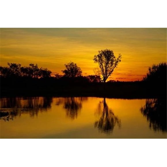 Posterazzi PDDAU01DWA4401 Water Billabong Kakadu Np Northern Territory Australia Poster Print by David Wall - 29 x 19 in.