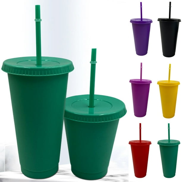Cheers.US Reusable Cold Drink Cups,Plastic Kids Water Cup with Straw and Lid,Reusable Plastic