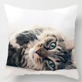 thumbnail image 1 of Cute Animal Pet Cat Dog Pattern Printed Soft Square Pillowslip Polyester Cushion Cover Pillowcase Living Room Home Decor QZX, 1 of 6