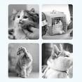 thumbnail image 2 of Correa retráctil para perros Correa para caminar para mascotas Mango antideslizante Sin enredos Reflectante para perros pequeños Gatos de hasta 44 libras Caqui 5 m/16,4 pies, 2 of 3