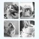 thumbnail image 4 of Correa retráctil para perros Correa para caminar para mascotas Mango antideslizante Sin enredos Reflectante para perros pequeños Gatos de hasta 44 lb Caqui 5 m / 16,4 pies, 4 of 5