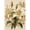 SKU-06, variant on Vintage Plant Flowers Sunflower Roses Carnations Peony Bouquet Poster Canvas Paintings Wall Art Pictures Living Room Home Decor50 x 70 cm, unframed,SKU-01