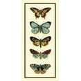 thumbnail image 2 of Zarris, Chariklia 17x32 White Modern Wood Framed Museum Art Print Titled - Butterfly Collector VI, 2 of 4